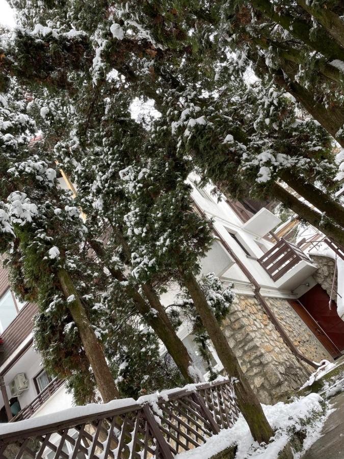 Timi Residence Brasov Luaran gambar