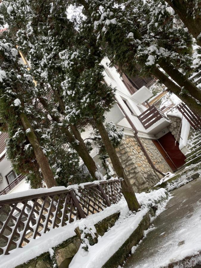 Timi Residence Brasov Luaran gambar